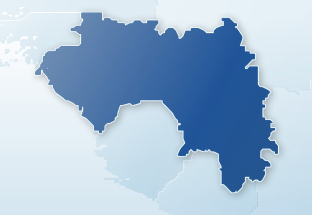 Guinea